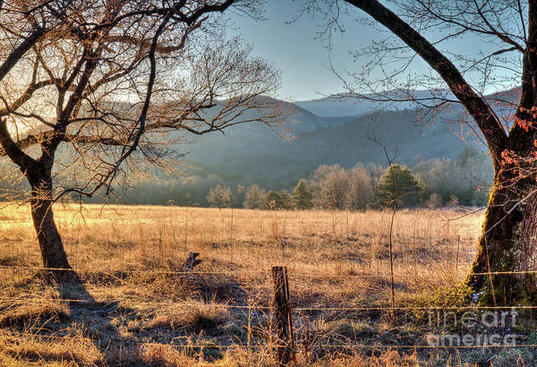 Cades Poster featuring the photograph Cades Cove, Spring 2017 by Douglas Stucky