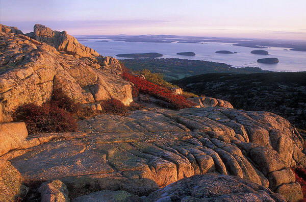 Acadia National Park Poster featuring the photograph Cadillac Mountain at Sunrise by John Burk