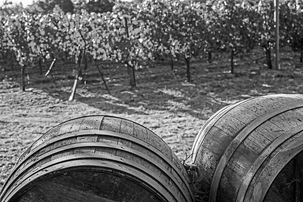 Sebastopol Poster featuring the photograph California Wine Country Wine Barrels Sonoma Valley Black and White by Toby McGuire
