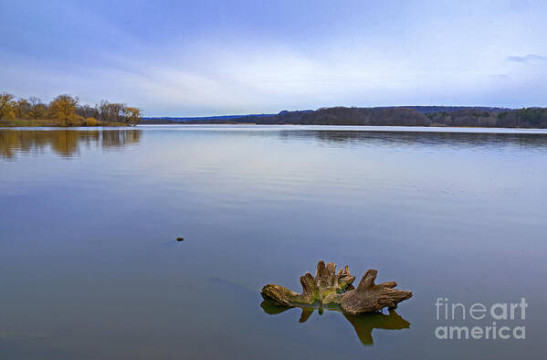 Landscape Poster featuring the photograph Early Spring Calm by Charline Xia
