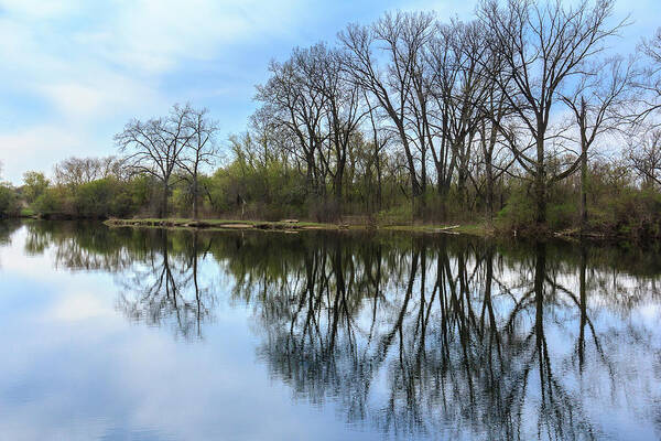 Dupage County Poster featuring the photograph Calm Waters at Wayne Woods by Joni Eskridge