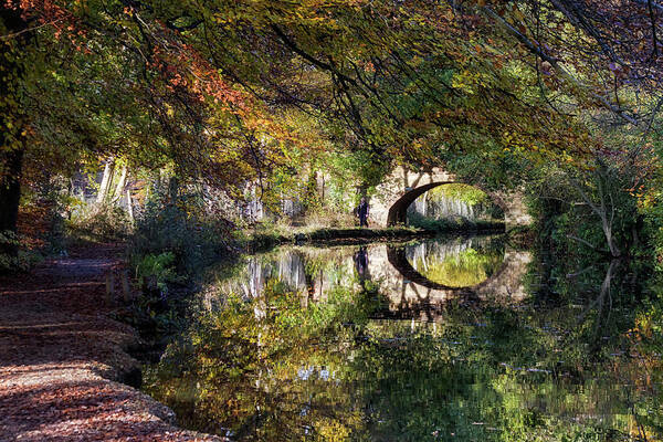 Landscape Poster featuring the photograph Canal path in autumn by Shirley Mitchell