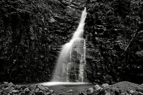 Waterfall Poster featuring the photograph Canaries Waterfall -2- St Lucia by Chester Williams