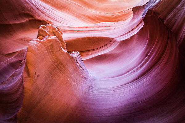 Curves Poster featuring the photograph Canyon Curves by Susan Bandy