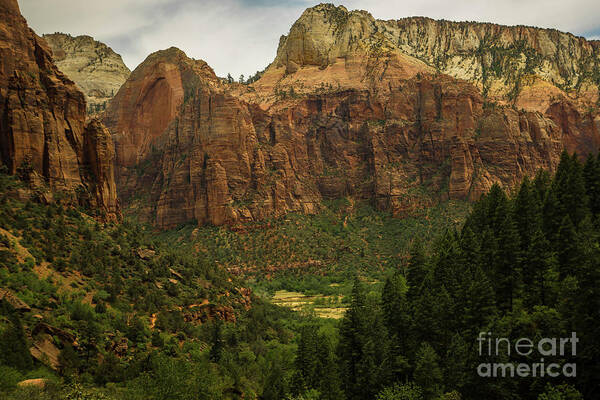 Zion National Park Poster featuring the photograph Canyons in Zion by George Kenhan