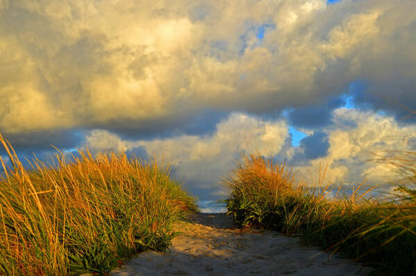 Dennis Poster featuring the photograph Cape Cod Sand Dunes by Dianne Cowen Cape Cod Photography