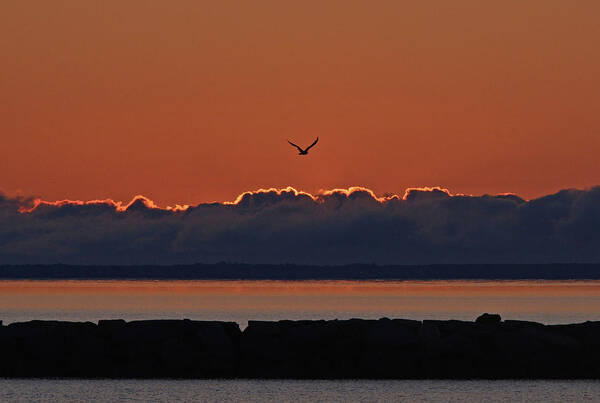 Cape Cod Poster featuring the photograph Cape Cod Sunrise #2 by Ken Stampfer