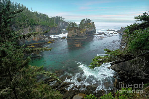 Cape Flattery Poster featuring the photograph Cape Flattery North Western Point by Martin Konopacki