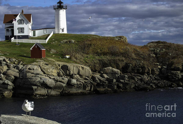 Cape Neddick Poster featuring the photograph Cape Neddick Lighthouse by Mim White