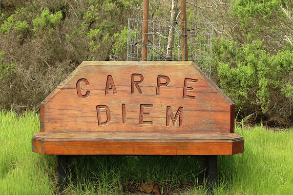 Carpe Diem Poster featuring the photograph Carpe Diem Bench by Art Block Collections