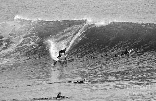 Ocean Poster featuring the photograph Catch a Wave BW by Chuck Kuhn