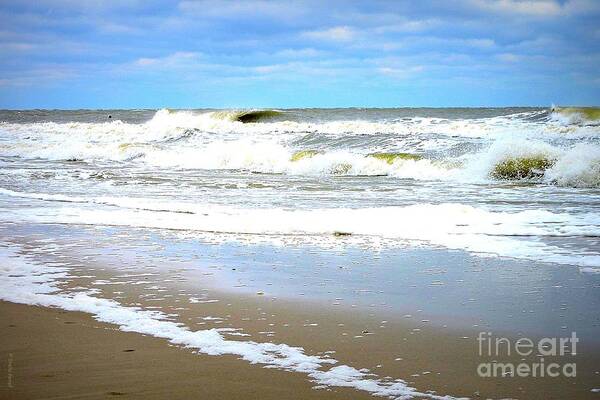 Art Poster featuring the photograph Catch a Wave by Shelia Kempf