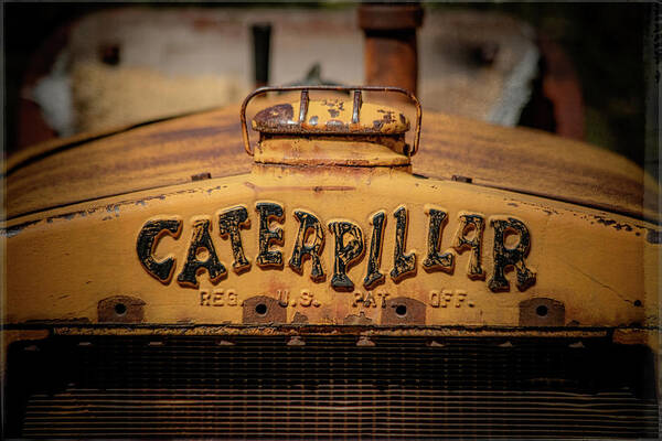 Tl Wilson Photography Poster featuring the photograph Caterpillar by Teresa Wilson