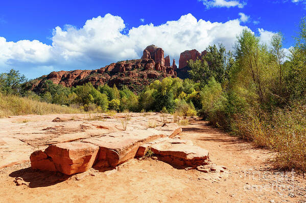 Arizona Poster featuring the photograph Cathedral Rock Sedona by Raul Rodriguez