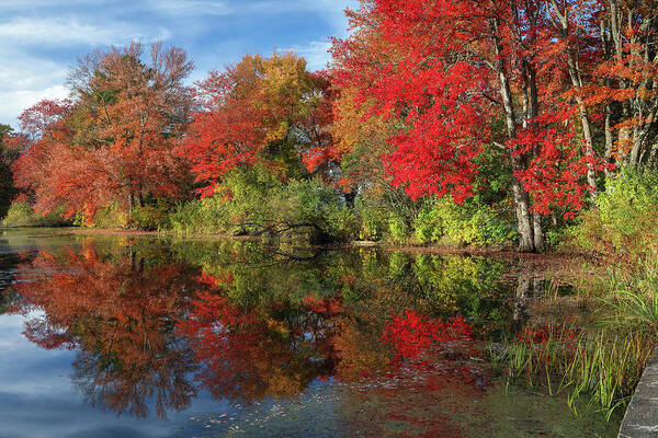 Factory Pond Poster featuring the photograph Central Massachusetts Fall Foliage Brillance by Juergen Roth