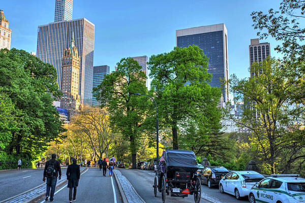 New Poster featuring the photograph Central Park Carriage Path New York NY by Toby McGuire