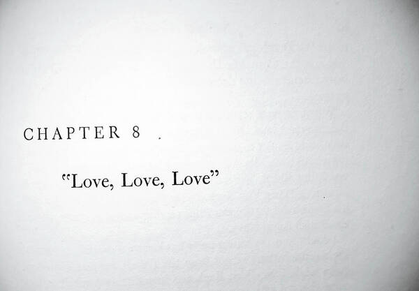 Quote Poster featuring the photograph Chapter 8 Love Love Love by Toni Hopper