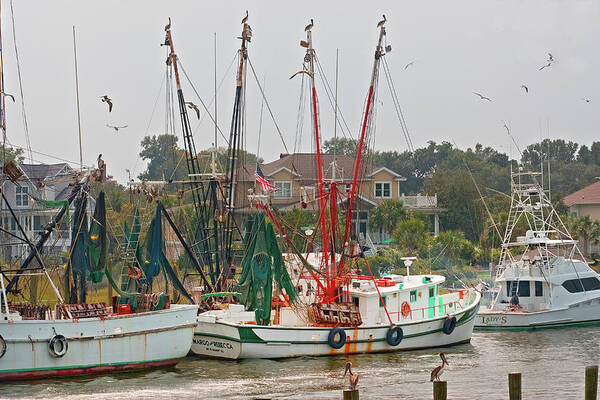 Charleston Sc Poster featuring the photograph Charleston SC 3 by Joel P Black