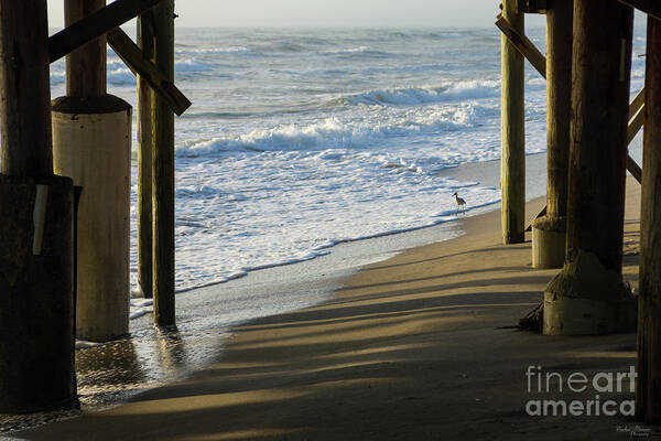 Cocoa Beach Poster featuring the photograph Checking The Shoreline by Jennifer White