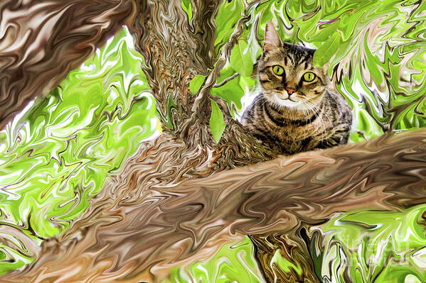 Cat Poster featuring the photograph Cheshire Cat by Kim Yarbrough