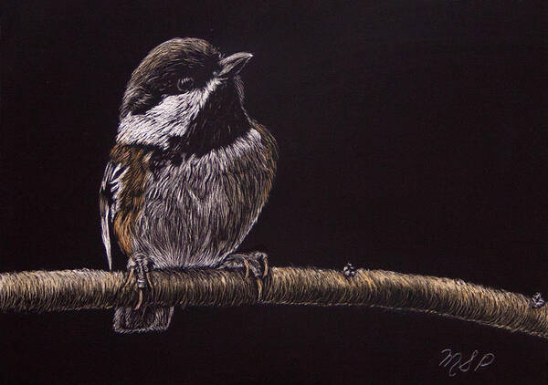 Chestnut Backed Chickadee Poster featuring the painting Chestnut Backed Chickadee by Margaret Sarah Pardy