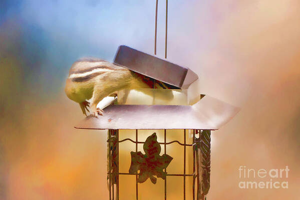 Chipmunk Poster featuring the photograph Chipmunk at the Feeder 2 Nursery triptych by Eleanor Abramson