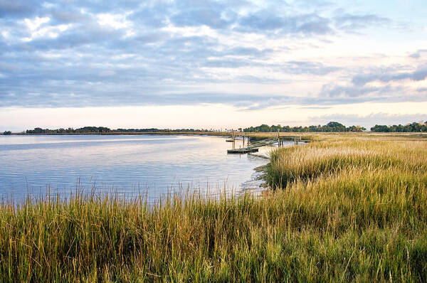 Marsh Poster featuring the photograph Chisolm Island Shoreline by Scott Hansen