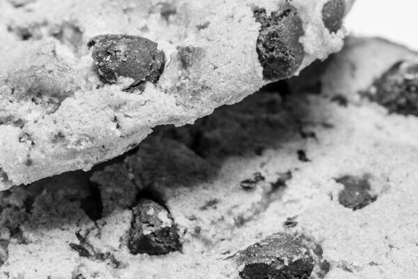 Black And White Poster featuring the photograph Chocolate Chip Cookies by SR Green