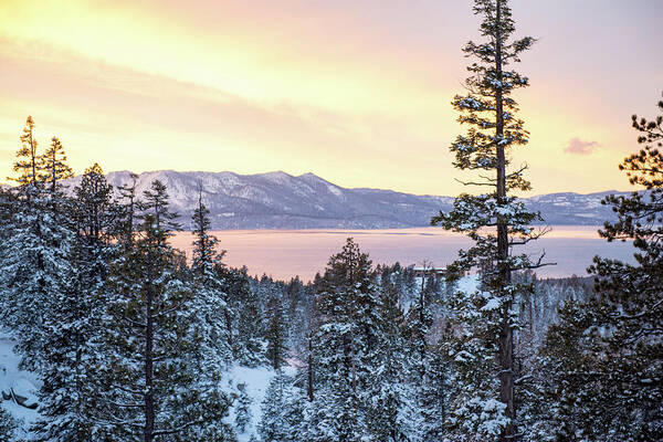 2016 Poster featuring the photograph Christmas Sunset at Tahoe - Lake Tahoe - Nevada by Bruce Friedman
