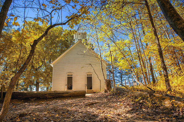 Church Poster featuring the photograph Church in trees by Dmdcreative Photography