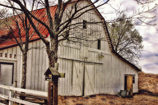 Barn Poster featuring the photograph City Barn by Joan Bertucci