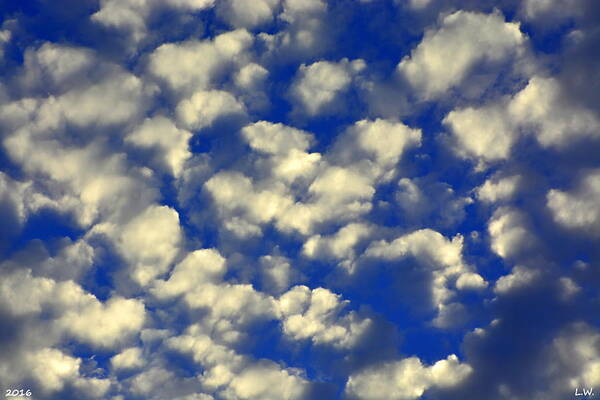 Clouds And Sky Poster featuring the photograph Clouds And Sky by Lisa Wooten