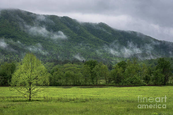 Cades Cove Poster featuring the photograph Clouds Rolling In by Andrea Silies