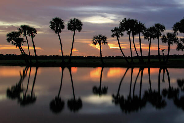 Florida Poster featuring the photograph Cloudy Sunset in the Wetlands by Stefan Mazzola