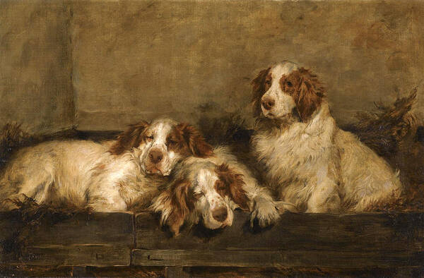 John Emms Poster featuring the painting Clumber Spaniels in a Kennel by John Emms
