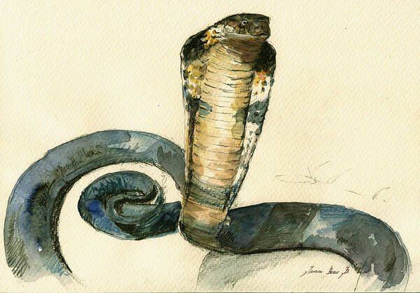 Cobra Art Wall Poster featuring the painting Cobra Snake watercolor painting art wall by Juan Bosco