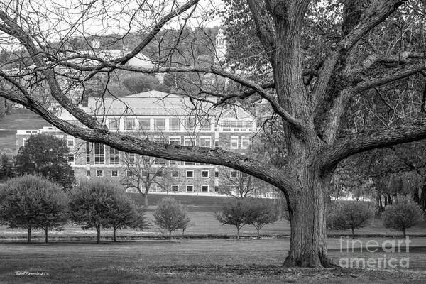 Colgate University Poster featuring the photograph Colgate University Landscape by University Icons