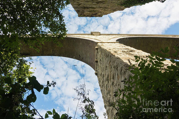 Penryn Poster featuring the photograph College Wood Viaduct Penryn Cornwall by Terri Waters