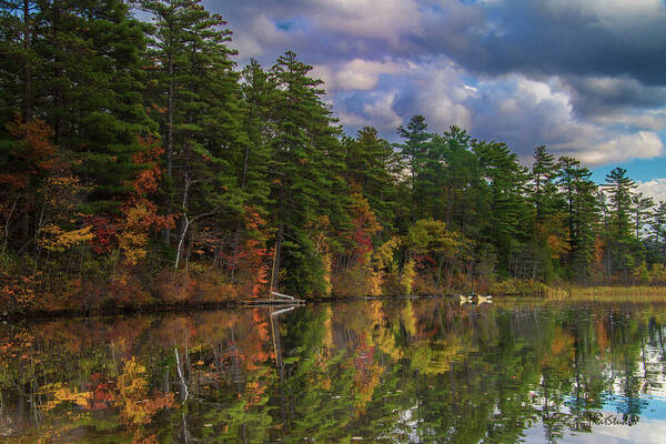Songo Pond Poster featuring the photograph Color at Songo Pond by Tim Kathka