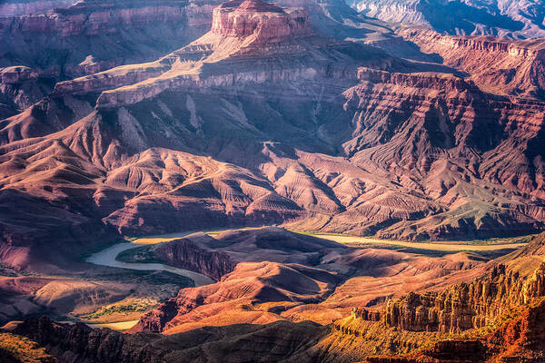 Lipan Point Poster featuring the photograph Colorado River winding thru Grand Canyon by Claudia Abbott