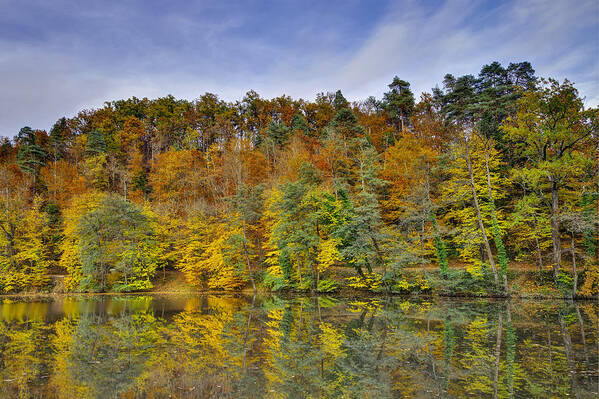 Lake Poster featuring the photograph Colorful autumn trees by Ivan Slosar