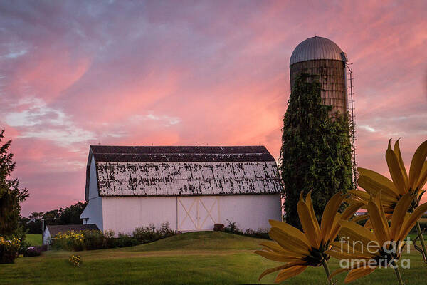 Peaceful Poster featuring the photograph Colorful Country by Joann Long