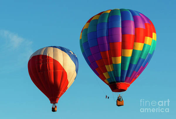 Balloons Poster featuring the photograph Colorful Pair by Michael Dawson