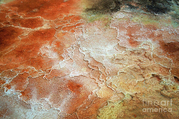 Bacteria Poster featuring the photograph Colorful Yellowstone Bacterial Mat and limestone by Bruce Block