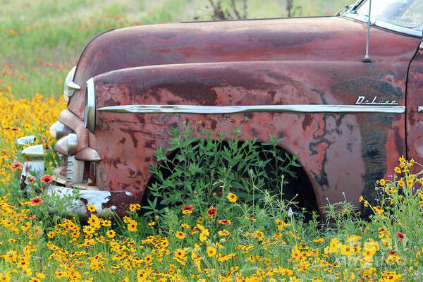 Old Car With Flowers Poster featuring the photograph Comes With Flowers by Joe Pratt