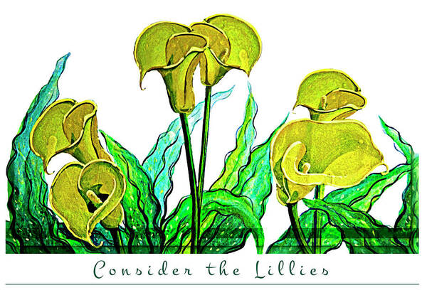 Oil Painting Poster featuring the painting Consider the Lillies by Ian Anderson