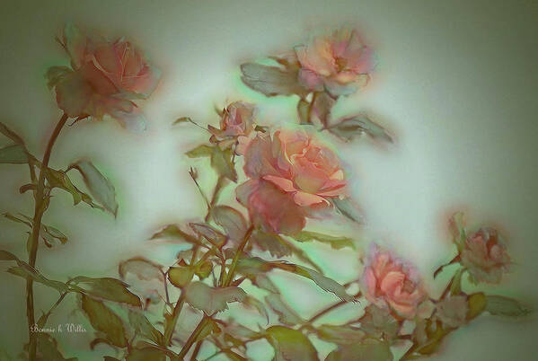 Rose Bush Poster featuring the digital art Coral Roses by Bonnie Willis