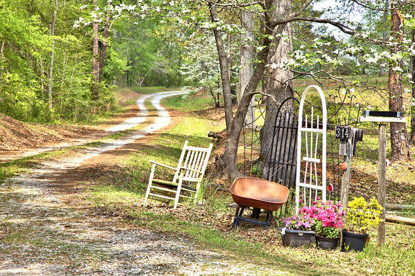 0121 Poster featuring the photograph Country Driveway in Springtime by Gordon Elwell