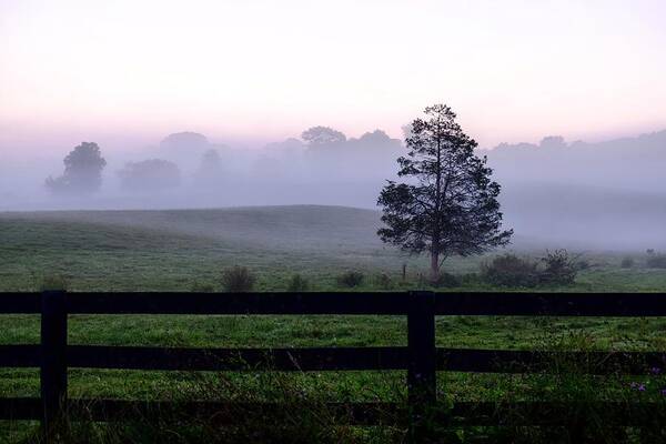 Country Landscape Poster featuring the photograph Country morning fog by Ronda Ryan