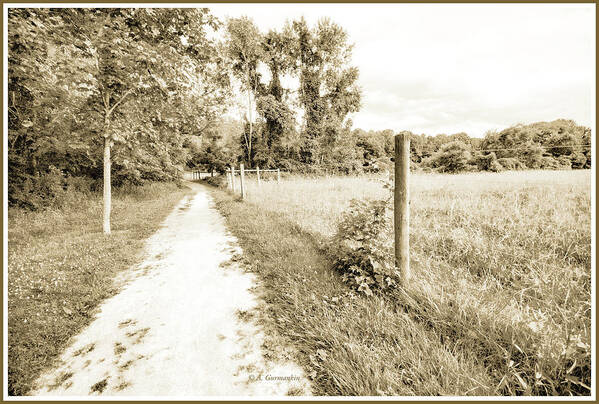 Country Poster featuring the photograph Country Path Along a Cow Pasture by A Macarthur Gurmankin
